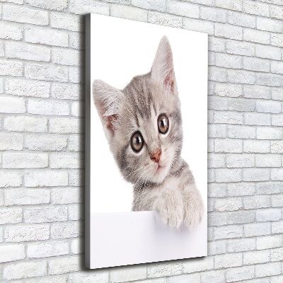 Quadro su tela canvas verticale Gatto grigio