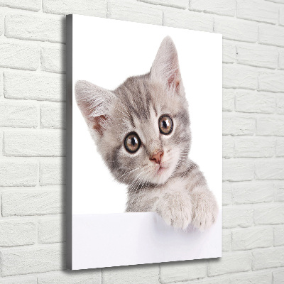 Quadro su tela canvas verticale Gatto grigio