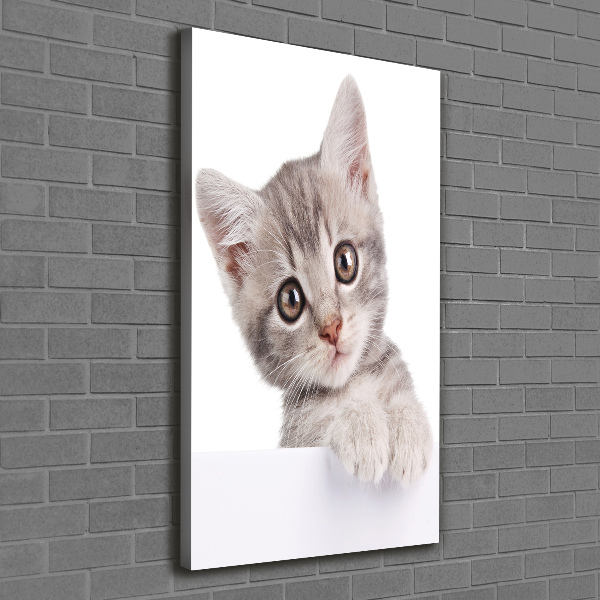 Quadro su tela canvas verticale Gatto grigio