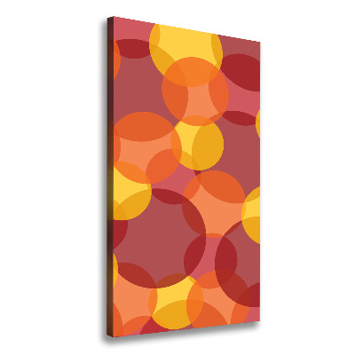 Quadro foto su tela verticale Cerchi colorati