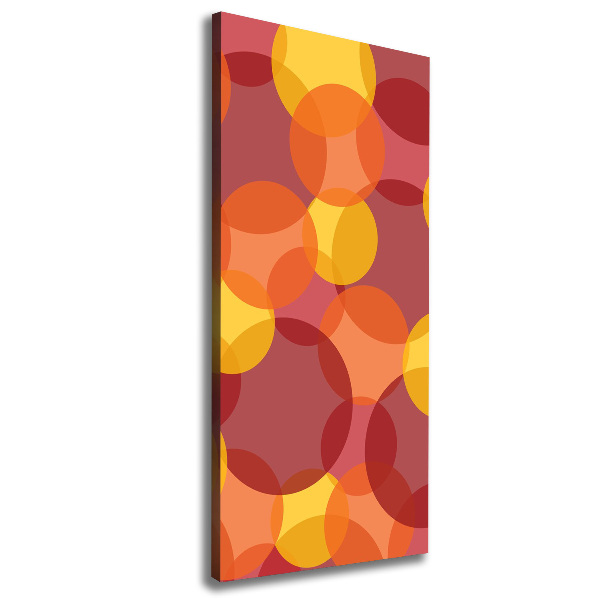 Quadro foto su tela verticale Cerchi colorati