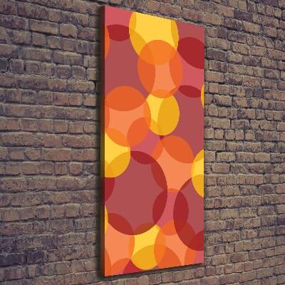 Quadro foto su tela verticale Cerchi colorati