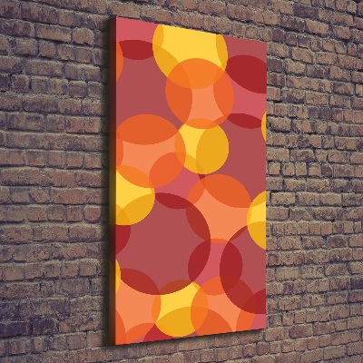 Quadro foto su tela verticale Cerchi colorati