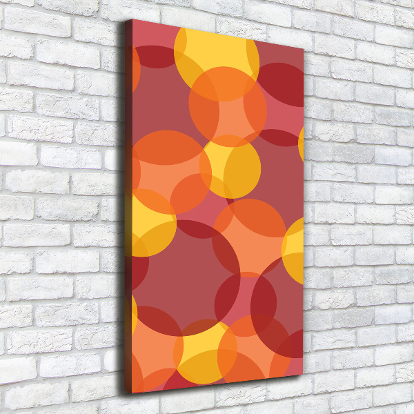 Quadro foto su tela verticale Cerchi colorati