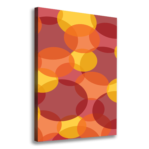 Quadro foto su tela verticale Cerchi colorati