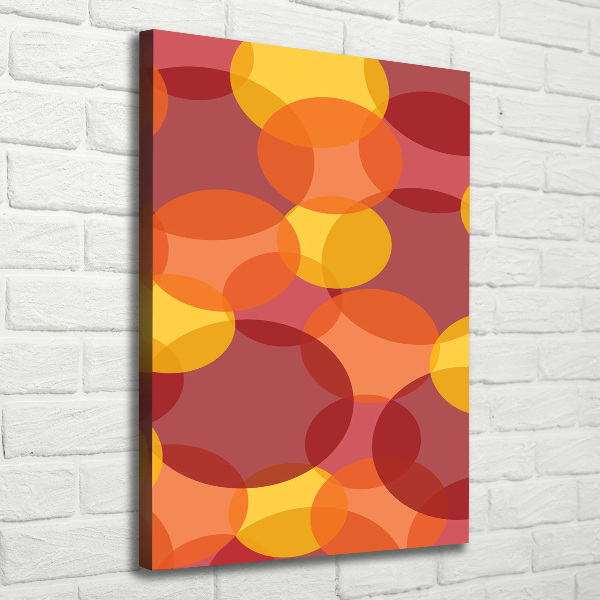 Quadro foto su tela verticale Cerchi colorati