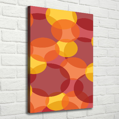 Quadro foto su tela verticale Cerchi colorati