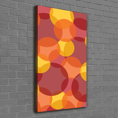 Quadro foto su tela verticale Cerchi colorati
