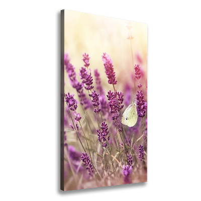 Quadro su tela canvas verticale Fiori di lavanda
