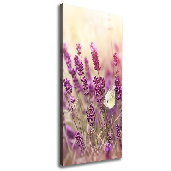 Quadro su tela canvas verticale Fiori di lavanda