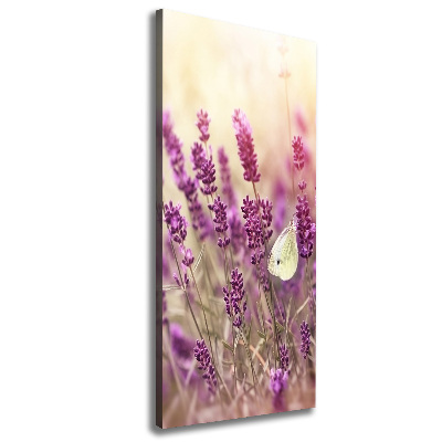 Quadro su tela canvas verticale Fiori di lavanda