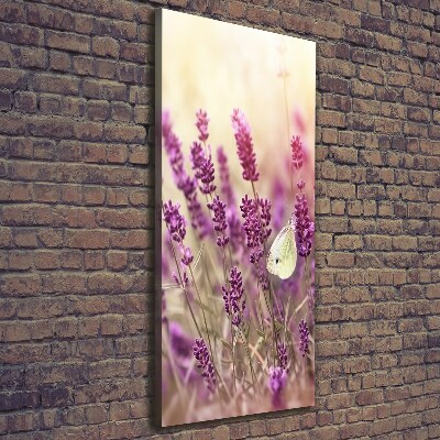 Quadro su tela canvas verticale Fiori di lavanda