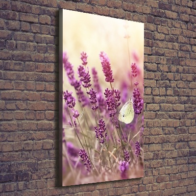 Quadro su tela canvas verticale Fiori di lavanda