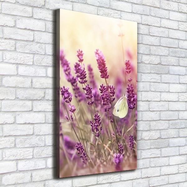 Quadro su tela canvas verticale Fiori di lavanda