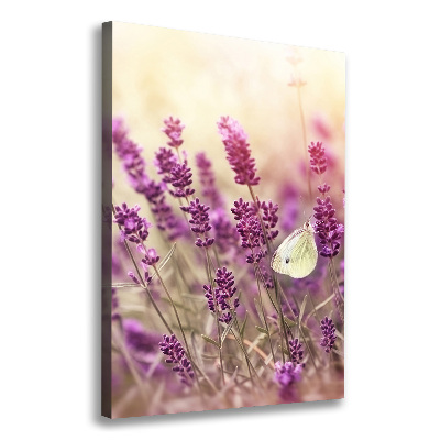 Quadro su tela canvas verticale Fiori di lavanda