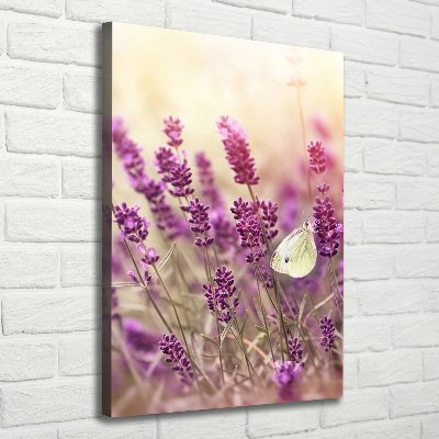 Quadro su tela canvas verticale Fiori di lavanda