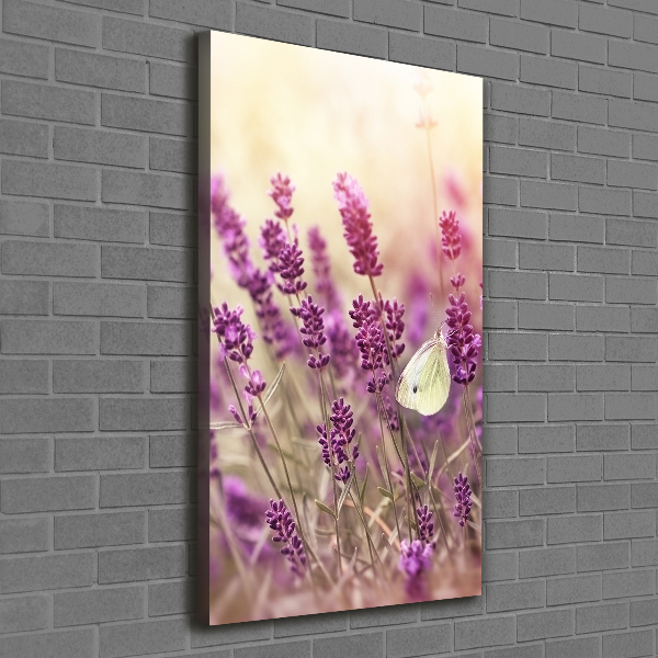 Quadro su tela canvas verticale Fiori di lavanda