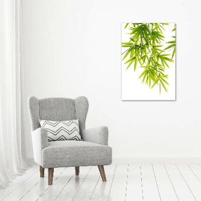 Quadro foto su tela verticale Foglie di bambù