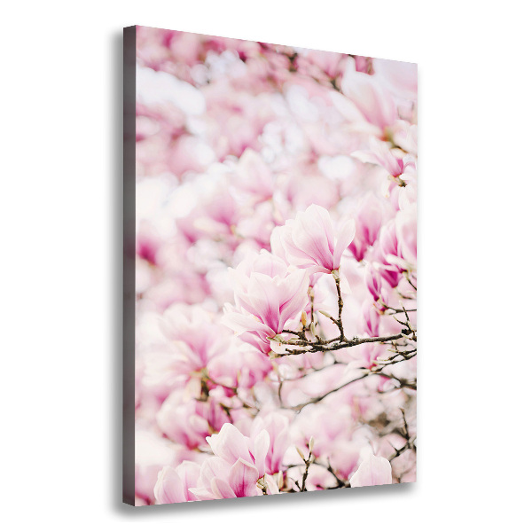 Quadro su tela canvas verticale Fiori di magnolia