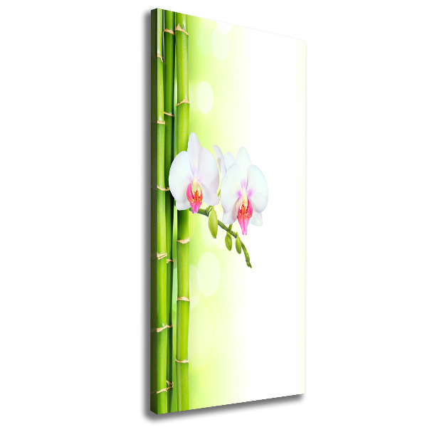 Quadro su tela canvas verticale Orchidea e bambù