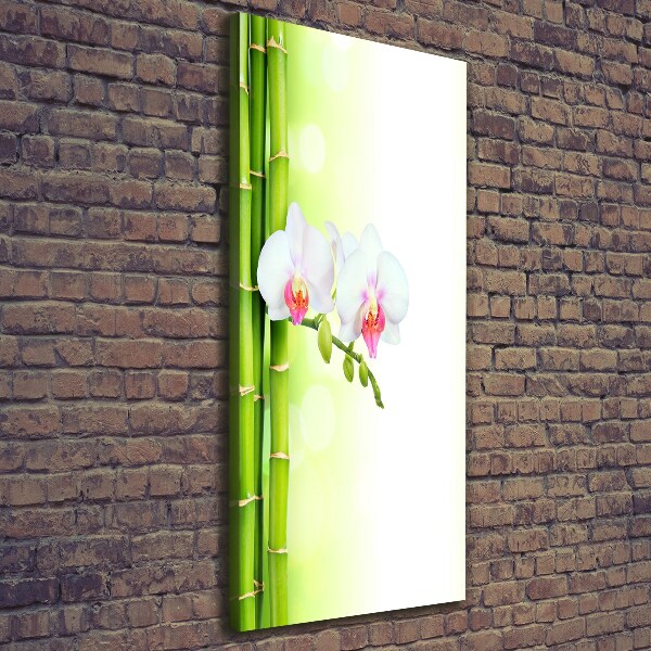 Quadro su tela canvas verticale Orchidea e bambù