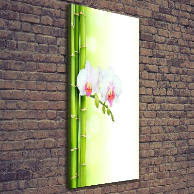 Quadro su tela canvas verticale Orchidea e bambù