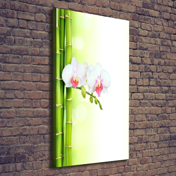 Quadro su tela canvas verticale Orchidea e bambù