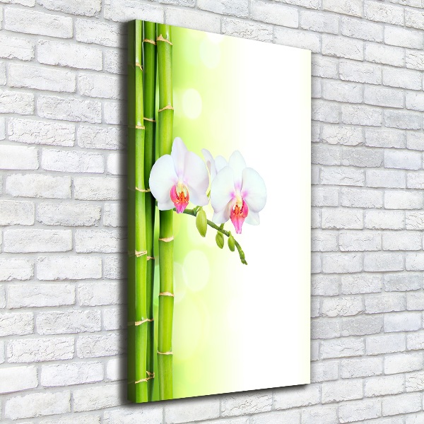 Quadro su tela canvas verticale Orchidea e bambù