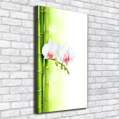 Quadro su tela canvas verticale Orchidea e bambù