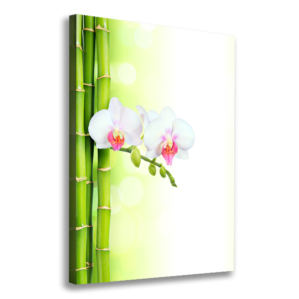 Quadro su tela canvas verticale Orchidea e bambù
