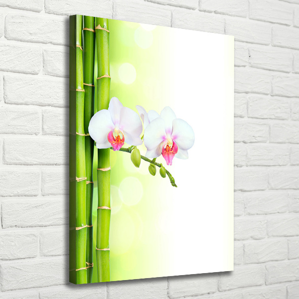 Quadro su tela canvas verticale Orchidea e bambù