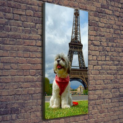 Stampa quadro su tela verticale Un cane a Parigi