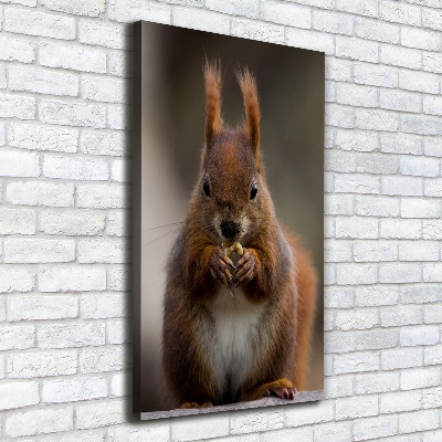 Stampa quadro su tela verticale Scoiattolo