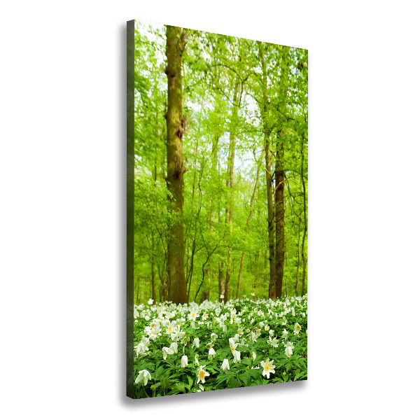 Quadro su tela canvas verticale Fiori nella foresta