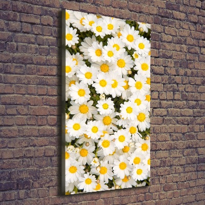 Stampa quadro su tela verticale Fiori di margherita