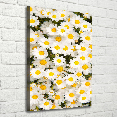 Stampa quadro su tela verticale Fiori di margherita