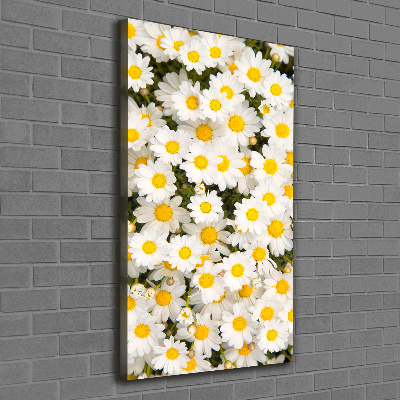 Stampa quadro su tela verticale Fiori di margherita