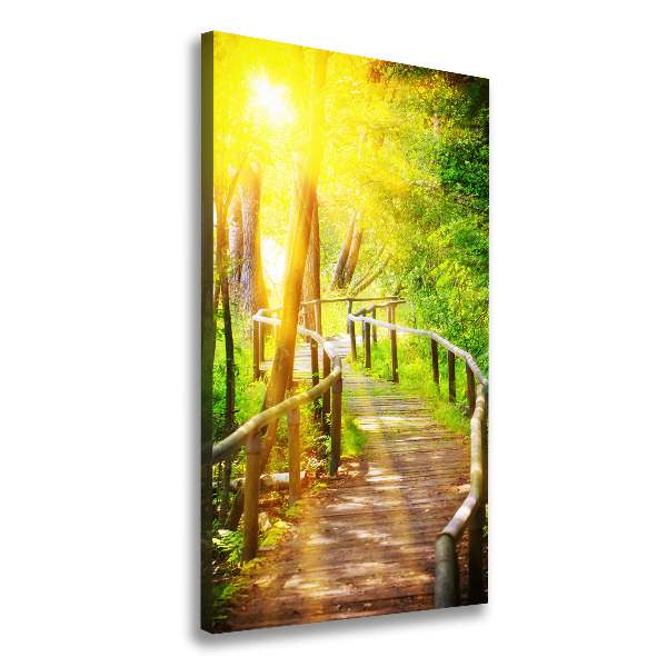 Quadro su tela canvas verticale Sentiero nella foresta