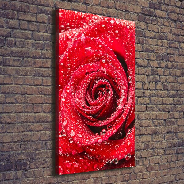 Quadro foto su tela verticale Rosa rossa