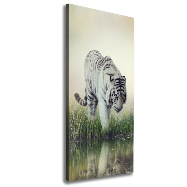 Quadro su tela canvas verticale Tigre bianca