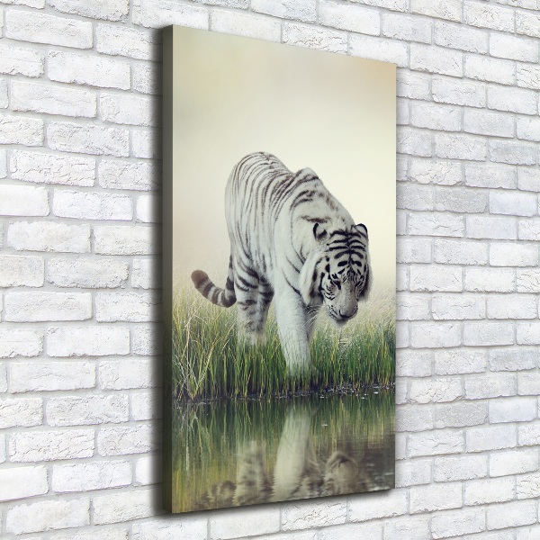 Quadro su tela canvas verticale Tigre bianca