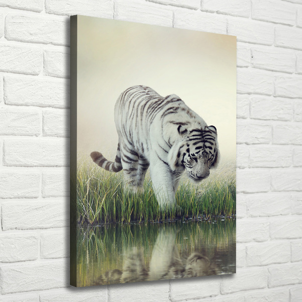 Quadro su tela canvas verticale Tigre bianca