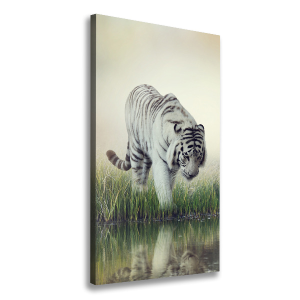 Quadro su tela canvas verticale Tigre bianca