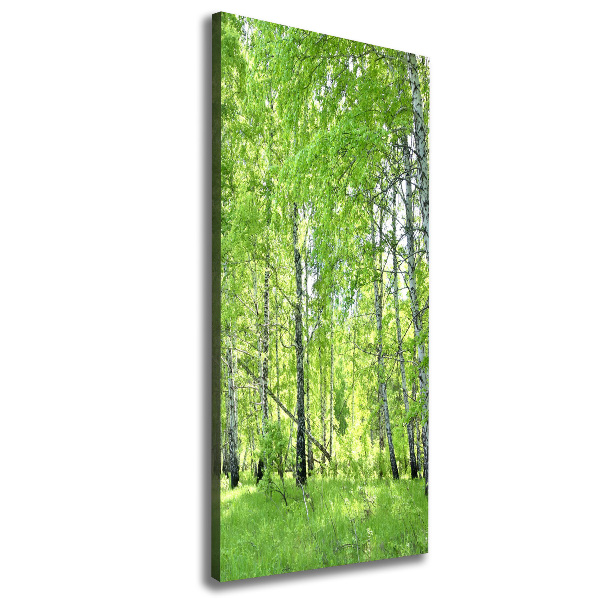 Quadro su tela canvas verticale Foresta di betulle