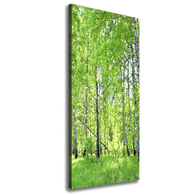 Quadro su tela canvas verticale Foresta di betulle