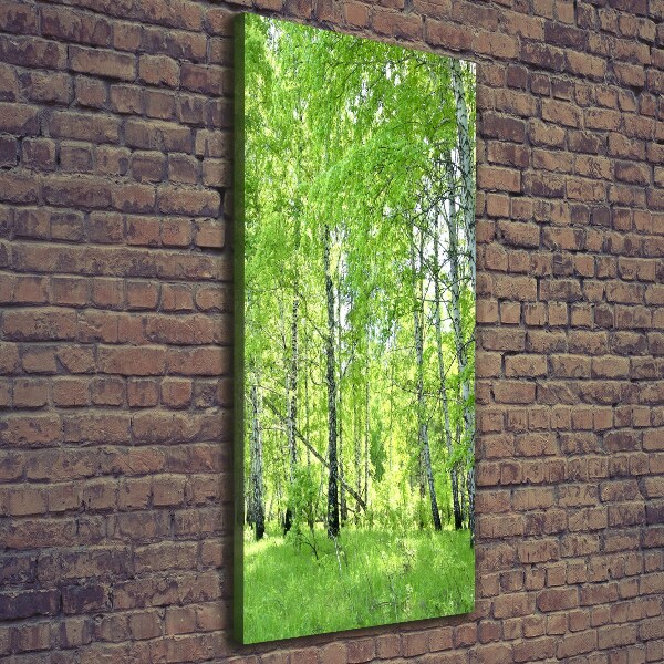 Quadro su tela canvas verticale Foresta di betulle