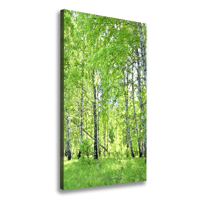 Quadro su tela canvas verticale Foresta di betulle