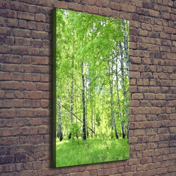 Quadro su tela canvas verticale Foresta di betulle