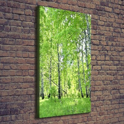Quadro su tela canvas verticale Foresta di betulle