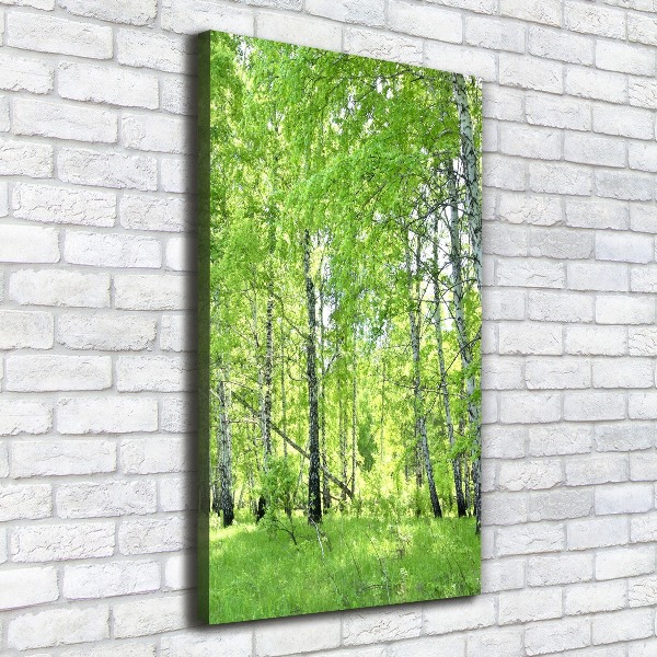 Quadro su tela canvas verticale Foresta di betulle
